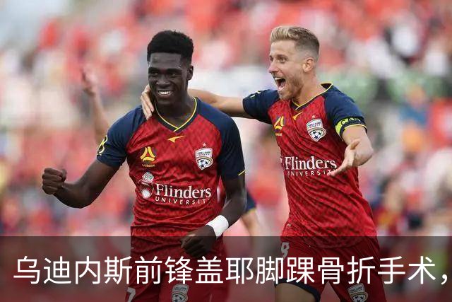 乌迪内斯前锋盖耶脚踝骨折手术，缺阵至2027年